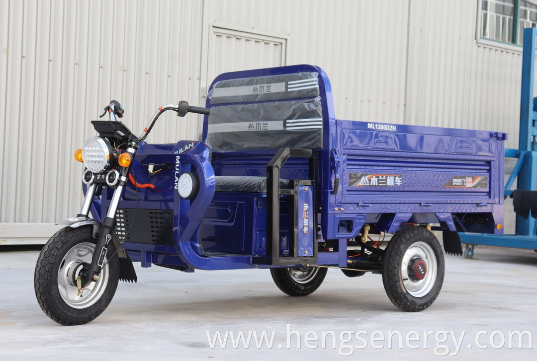 Cargo Electric Tricycle